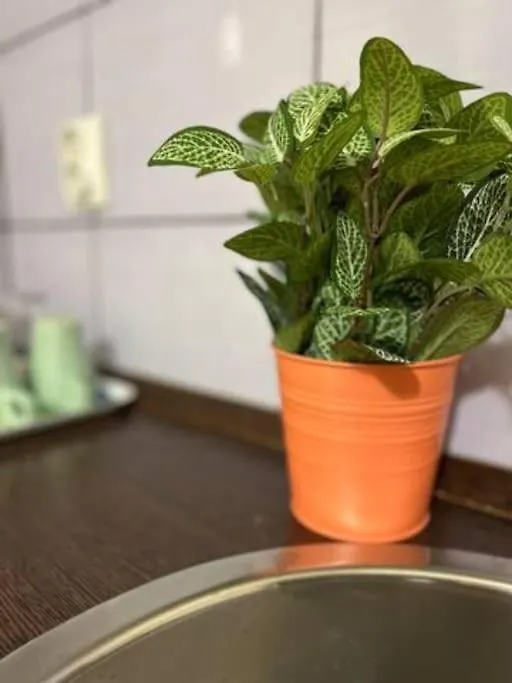 A3 Parliament Sunflower Cozy Apartment Budapest